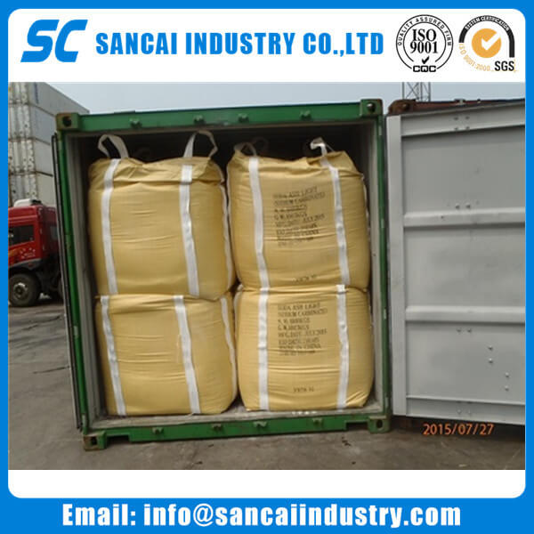 Soda ash light,497-19-8