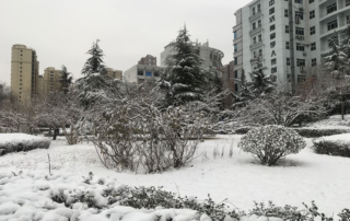 Snow-SANCAI.