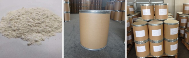 Mogroside V Mogroside V,88901-36-4