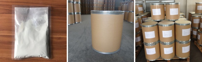 2,5-Dichlorobenzeneacetic acid 2,5-Dichlorobenzeneacetic acid,5398-79-8