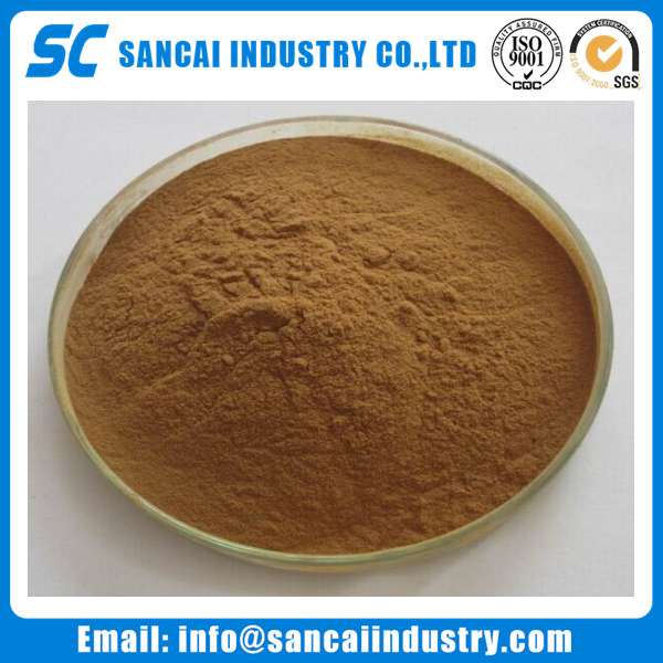 CAS 90045-36-6,Ginkgo Biloba Extract